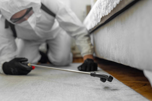 Professional Pest Control technician working in Johnson County County, WY